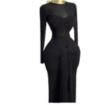 Europe and the United States cross-border women's clothing 2025 early spring new solid color long sleeve round neck chest tight temperament long dress - Image 5