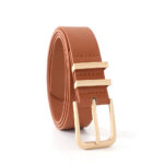 Amazon Cross-Border New Simple Women's Belt Decorated Jeans Skirt High-End Gold Pin Buckle Belt for Women - Image 6