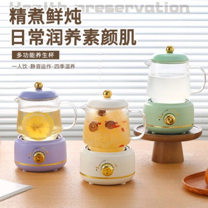 Mini Health Pot Multifunctional Electric Hot Water Cup Gift Box Home Health Cup Small Office Tea Maker